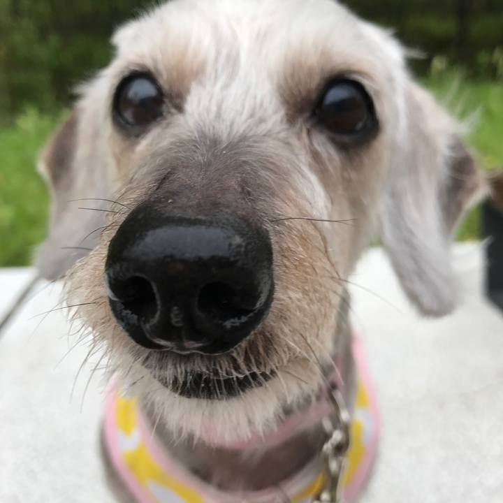 Ab28529c 263b 4d62 972a 3b99dc1b86e2