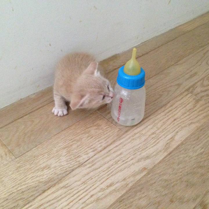 Ab2904c1 97d6 4897 a3d8 45f4e95e4eee