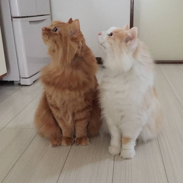 Ab29844c 9a0e 4927 a8a9 8ebef3880637