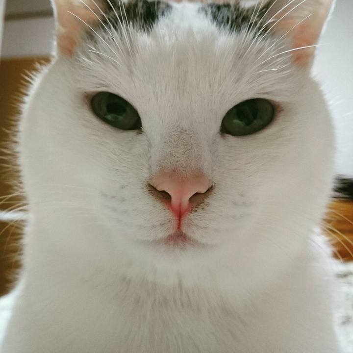 Ab298597 ae00 4c7f 8168 9597a762a4f7