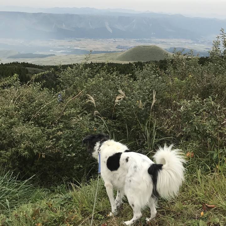 Ab29999d 67f4 4f1b ba98 5a0347331f7f