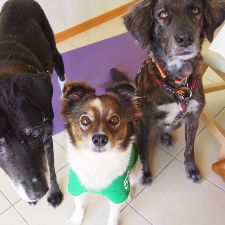 Ab2a0100 537e 4fc4 a517 7d163ea7c538