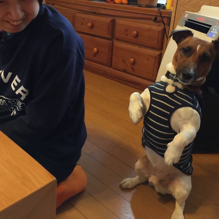 Ab2a1006 0a89 40d0 88da aab6397b7da4