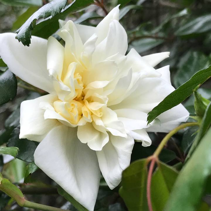 Ab2a2ef9 d111 4587 92f3 780776674800