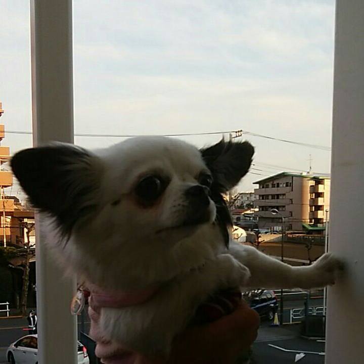 Ab2af4ff 9803 4652 985b aaa3fa6380d7