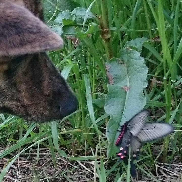 Ab2b83cf 34bc 46aa 9326 b52d21513a7e