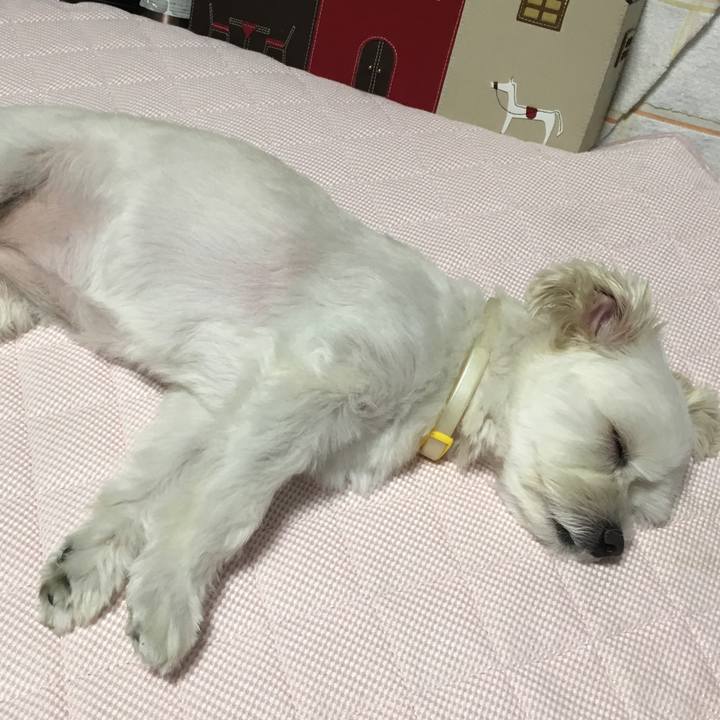 Ab2bb30d 5b38 4007 8a8a cb7daa8bdf2f