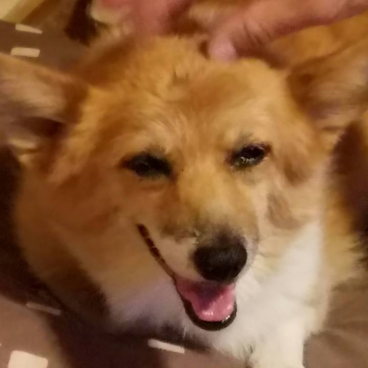 Ab2cab79 6116 4e38 8dd5 737cc8c8a268