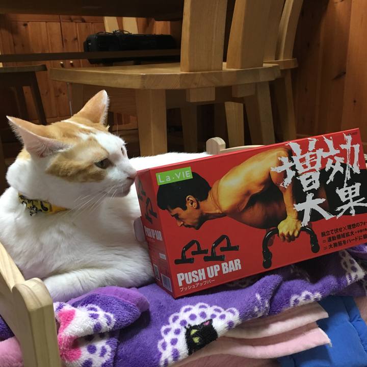 Ab2e6089 5243 4603 9150 86acd5e8fb3e