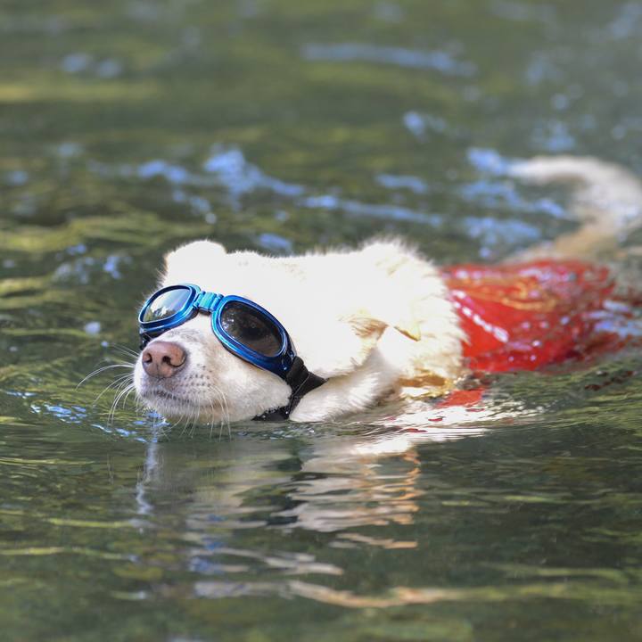 Ab2ebc73 e3fe 4e0b 8abd 8a5c0581ff34