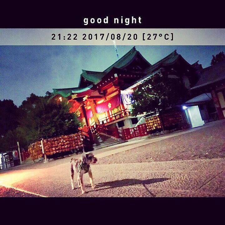 Ab2f3868 eac1 4b33 8a22 98d70097fcca