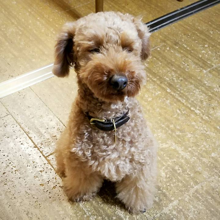 Ab2f6731 b936 4b90 8dbd 95e84867f5d0