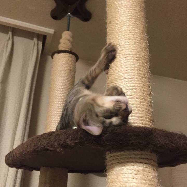 Ab2fdd4a d875 4911 b2d9 8269440bfa02