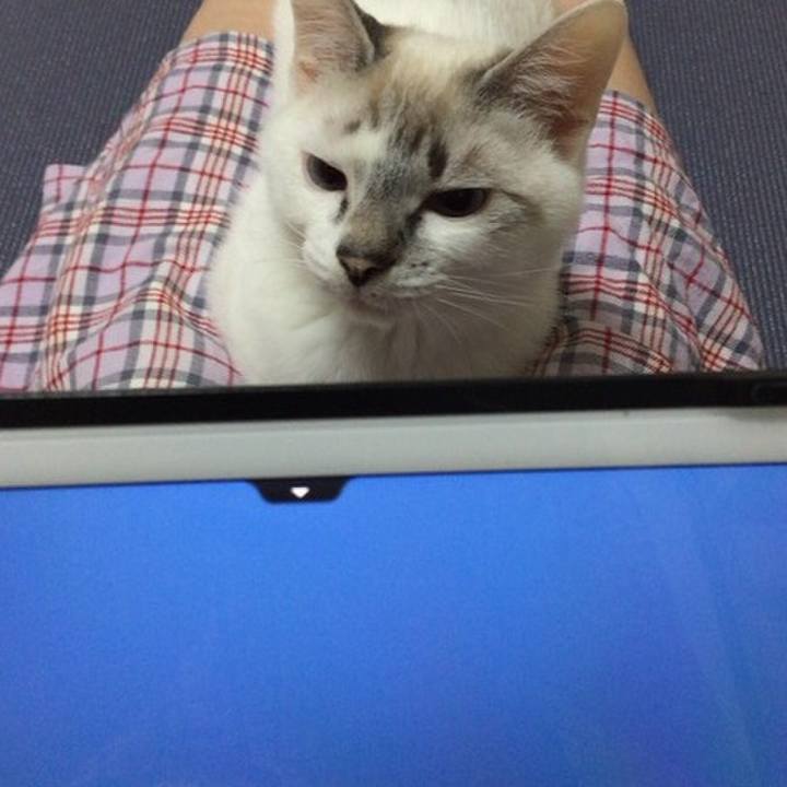 Ab30931f 3db2 48cd 84be 8ffb99735974