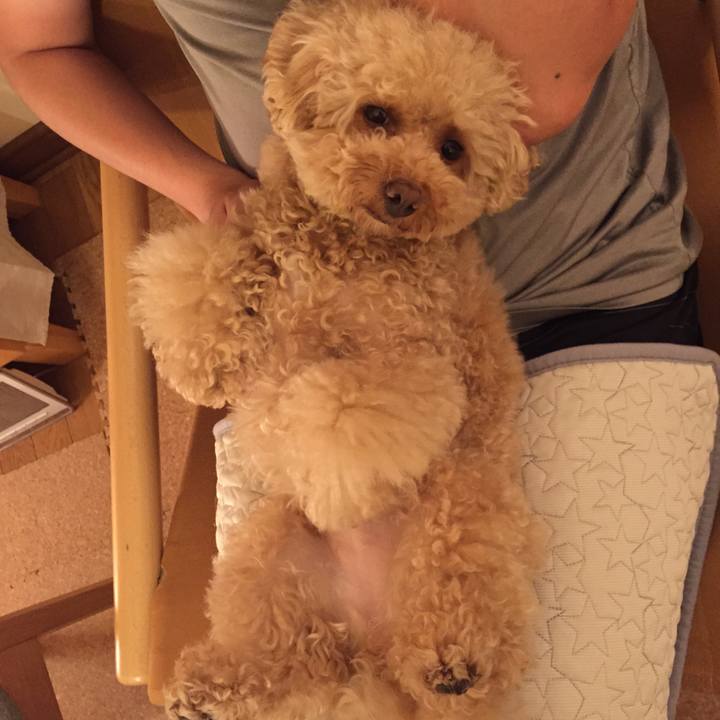 Ab30ba55 0469 466b 8bba 1edcad76f4fc