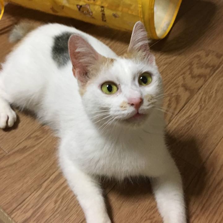 Ab313ec3 d4f0 44cc b943 30846e7a99cd