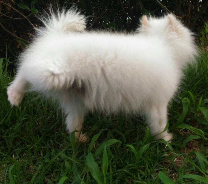 Ab31a1e4 af58 473b a557 80784877b09d