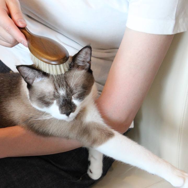 Ab327f4b feb3 475c a3d1 25384cd3aa86