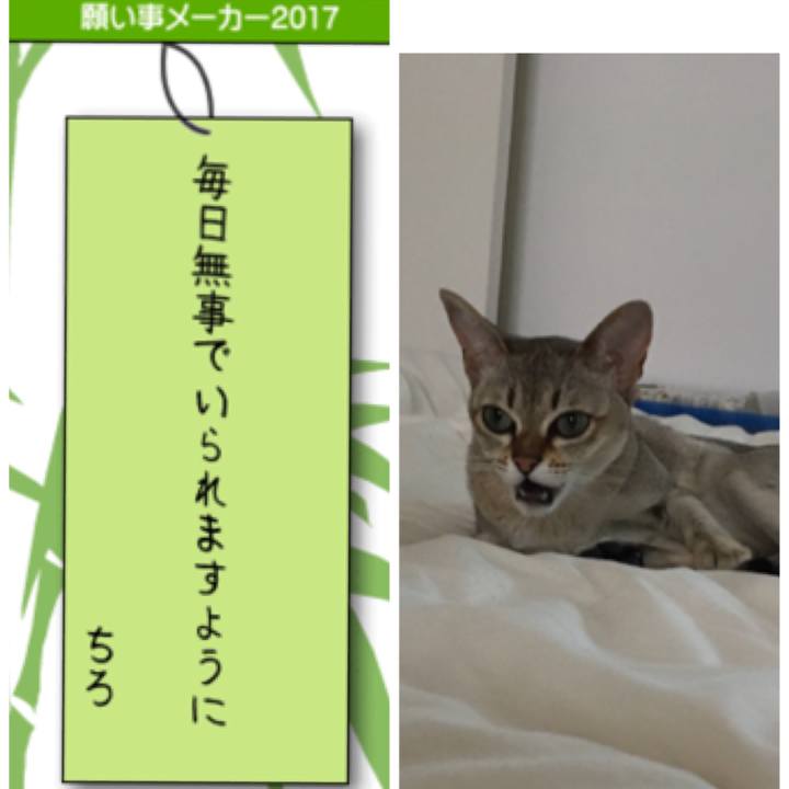 Ab32ebac 483e 4834 b03e fc791076a58c