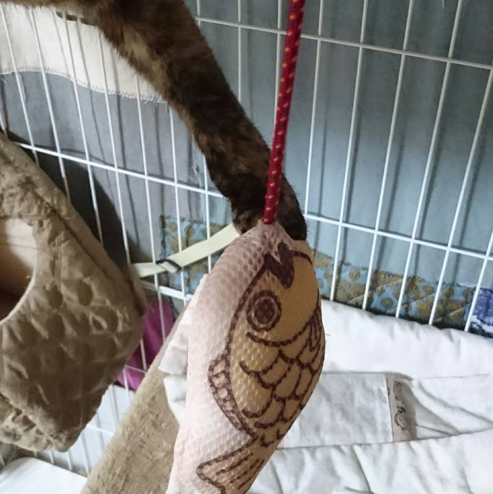 Ab333fb0 89ea 4ebf 9a77 9ac0aad8fdec