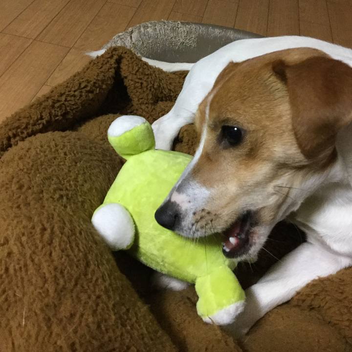 Ab33545d aab5 418e 96a9 1663e708e83f