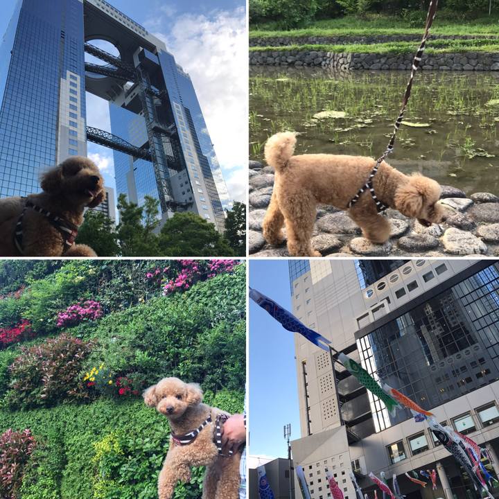 Ab33cf26 e2f1 40f8 8fac bba4bafda80d