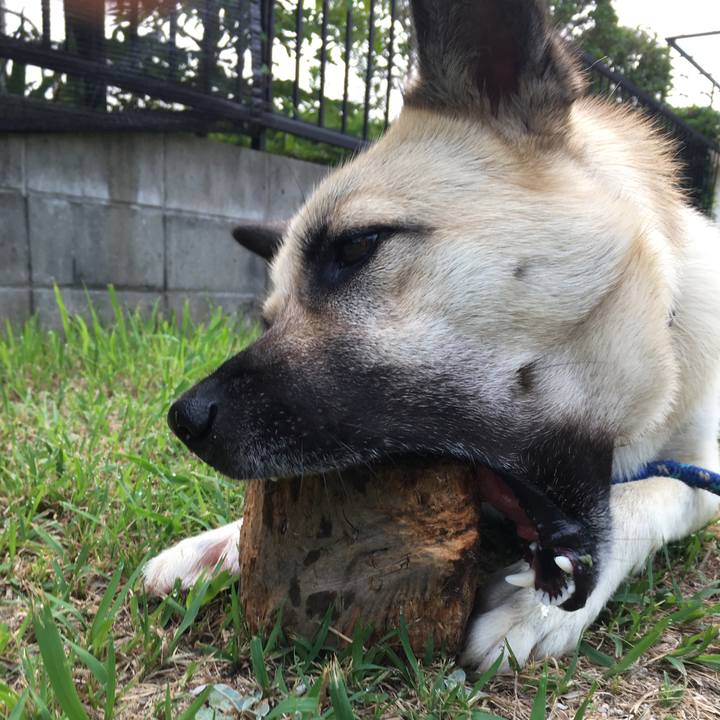 Ab33dc60 63ec 49e5 9cf8 fa216c5f3da4