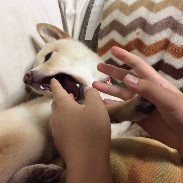 Ab342b43 ce24 45af 90ea 422123b7f888