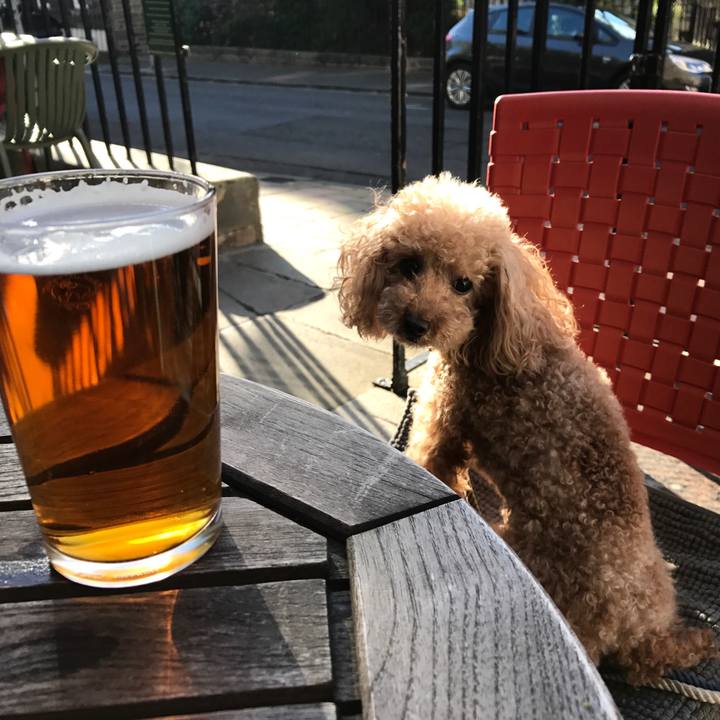 Ab342e11 477f 4be5 b83c dc0a9ff1fd93