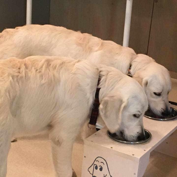 Ab353222 b0c5 47a5 9290 f459c2ab24b6