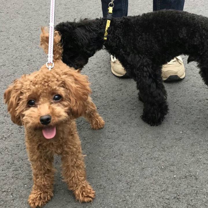 Ab357a8a 8db2 4d08 8af4 b12f38ea027b