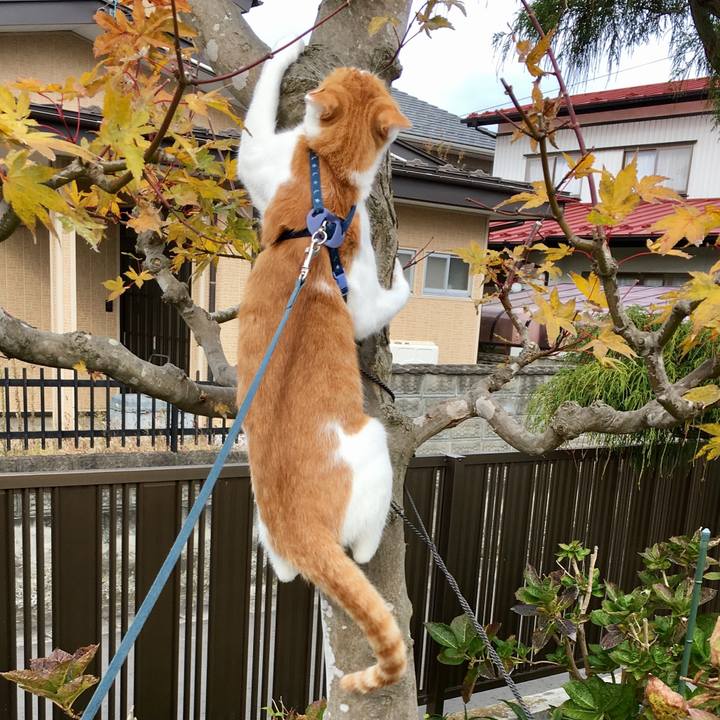 Ab35eef6 d89c 4a80 bee3 9f316bdf0974