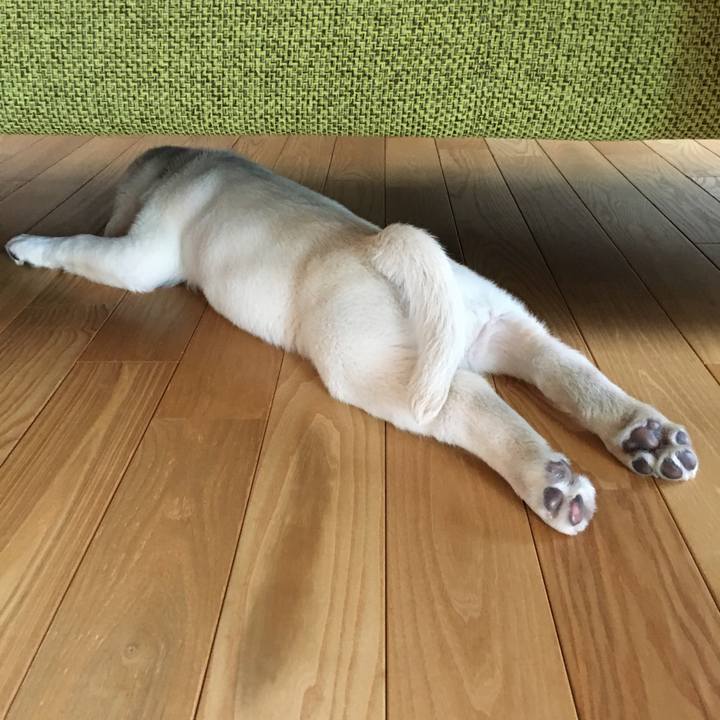 Ab369034 f42c 4e38 8ce7 3834c2e20fa8