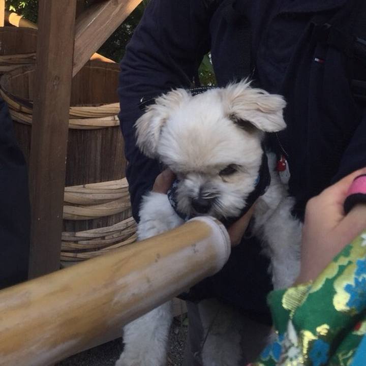 Ab36a740 cca1 4ca1 9909 9a767247be63