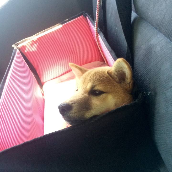 Ab3775d9 4634 4584 a04d 0ca61340d459