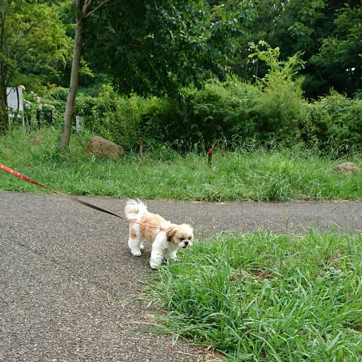 Ab37c521 3bce 4a93 93c6 d1800ca971ab