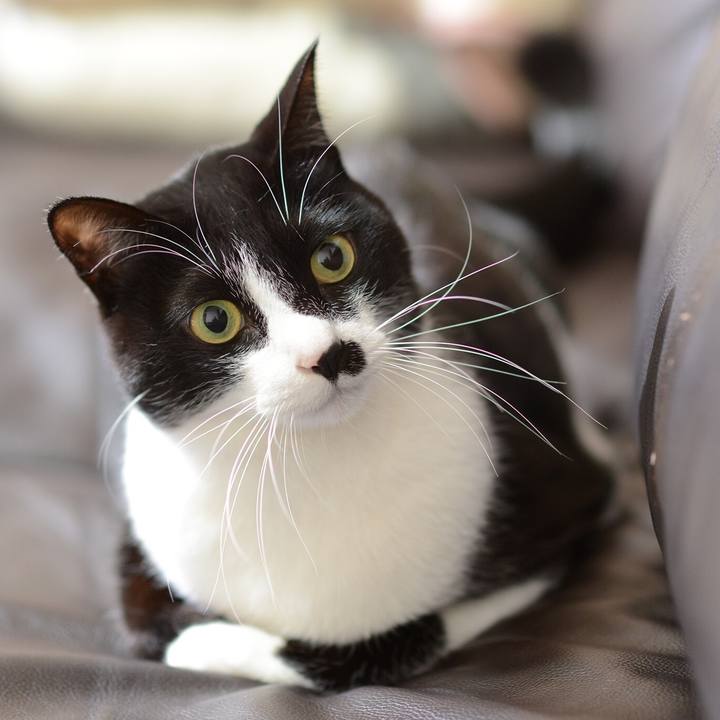 Ab37fc6b 87dd 4268 83eb ad76f7e6d104