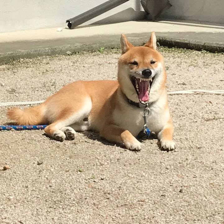 Ab38c122 9a06 47d1 b114 9750ac371a2d