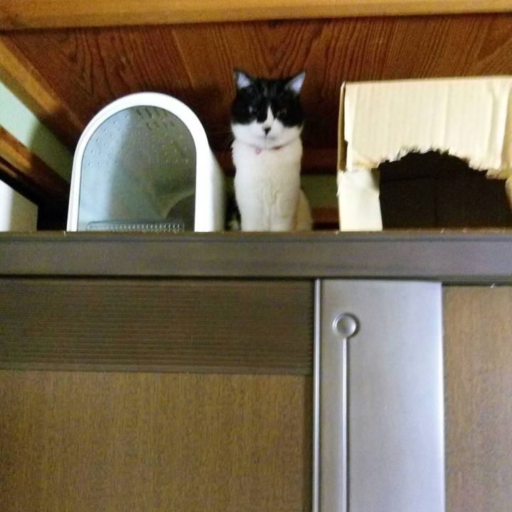 Ab39ed90 299b 4462 9d06 38d8001d79a2