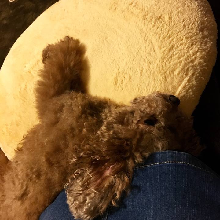 Ab3a4d62 bd0a 407b a3fb 0543d315c0af