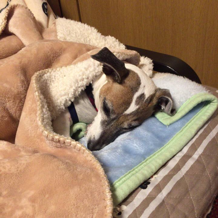 Ab3a991a a4b2 4b3f a239 626528d35382