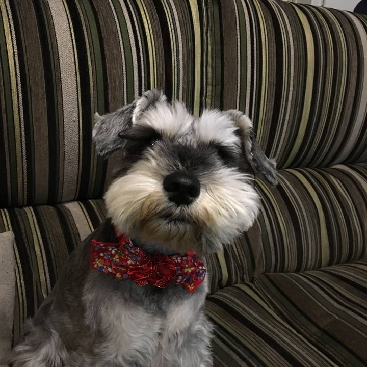 Ab3aa3de dfef 4881 bf75 6f2173454304