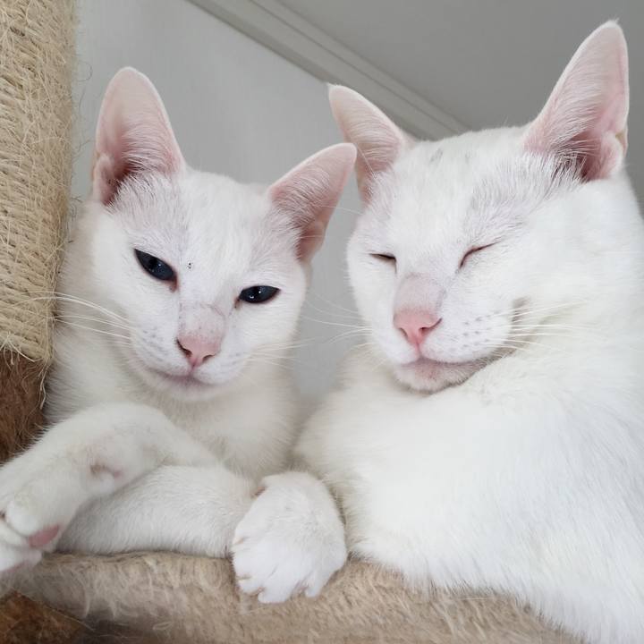 Ab3b5339 17b6 4834 aee0 02c43a9d2753