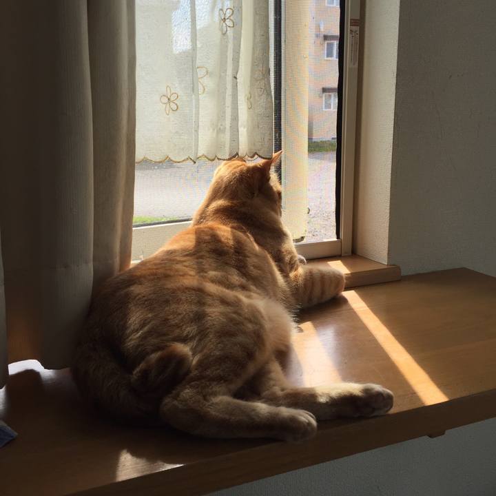 Ab3c409b 9f00 4239 a85c 7b75d2d94635