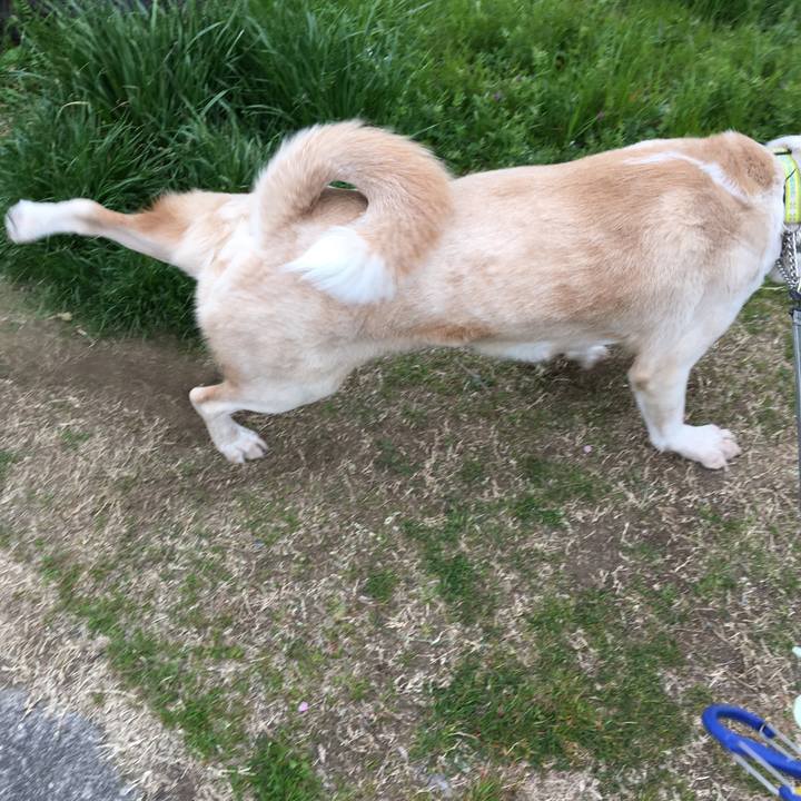 Ab3cf980 a4b2 4f2b baf4 5f18404693ab