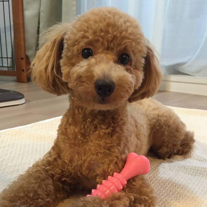 Ab3daeb6 40d6 4970 803a 084d4940ccc8