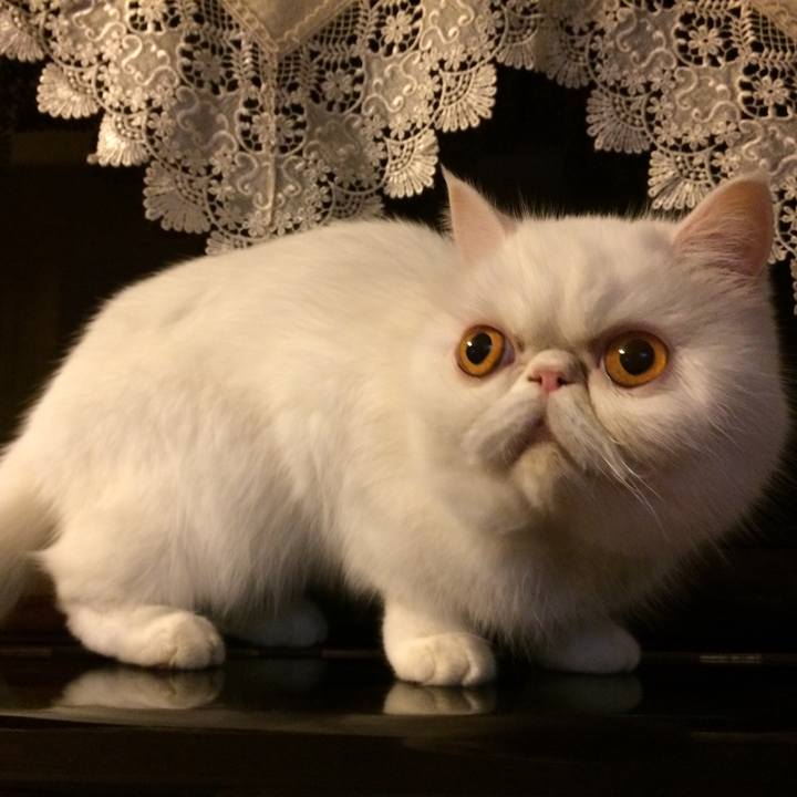 Ab3e3c22 a178 4844 83f1 b4e5609cfd93