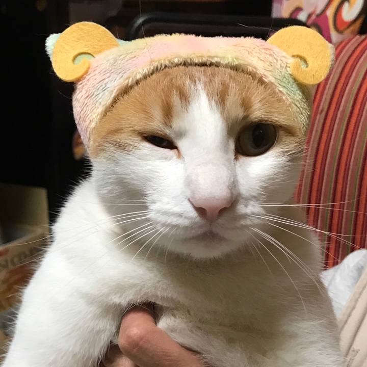 Ab3e7492 019e 4001 99a6 0d4143f0811e