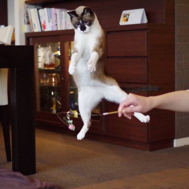 Ab40b1f1 5a13 4ef9 91fa cfd6d4c4cc5b