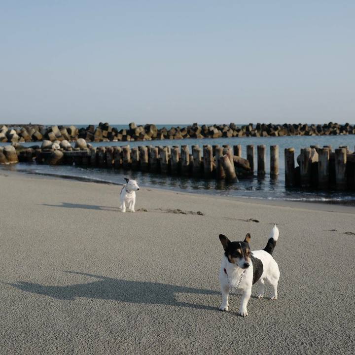 Ab40e814 a624 4fe9 9253 62a2ce89d5b4